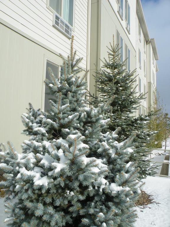 Bakken Airport Xwa Hotel & Studios วิลลิสตัน ภายนอก รูปภาพ